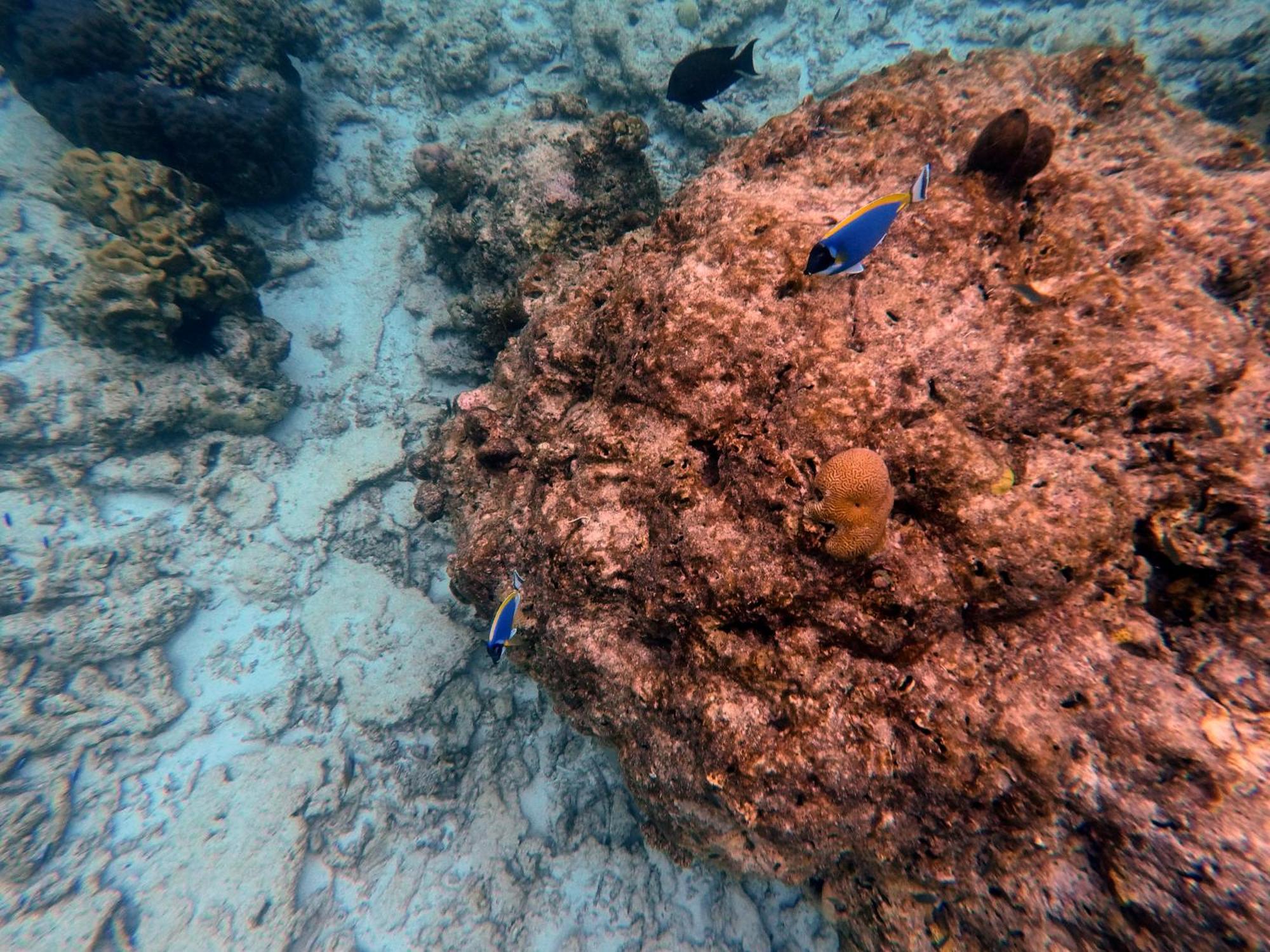 Moodhumaa Inn Guraidhoo  Εξωτερικό φωτογραφία