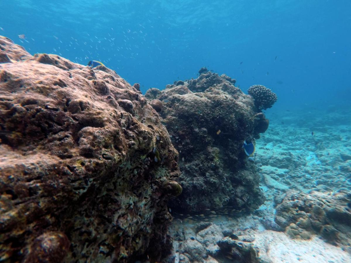 Moodhumaa Inn Guraidhoo  Εξωτερικό φωτογραφία