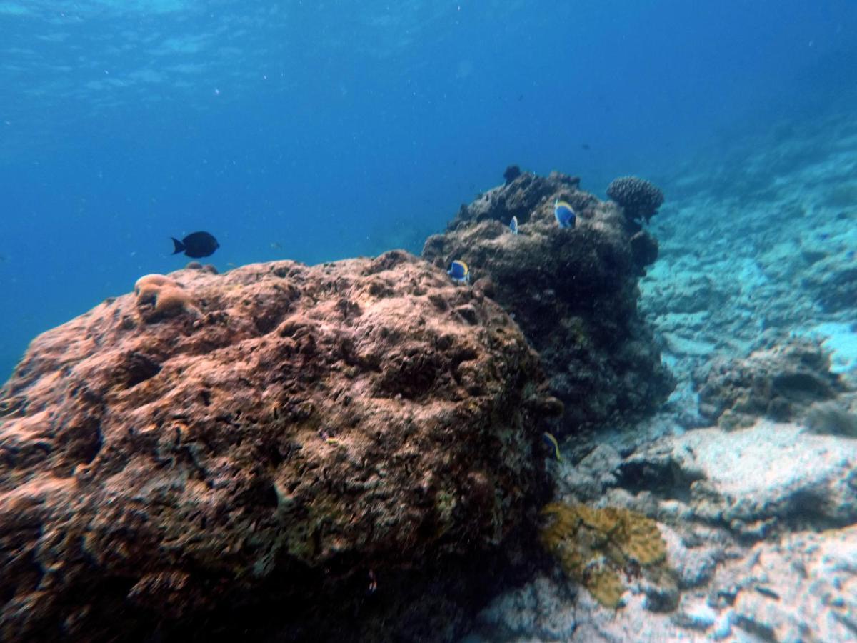 Moodhumaa Inn Guraidhoo  Εξωτερικό φωτογραφία