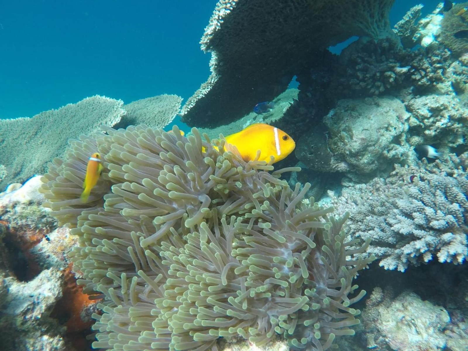 Moodhumaa Inn Guraidhoo  Εξωτερικό φωτογραφία