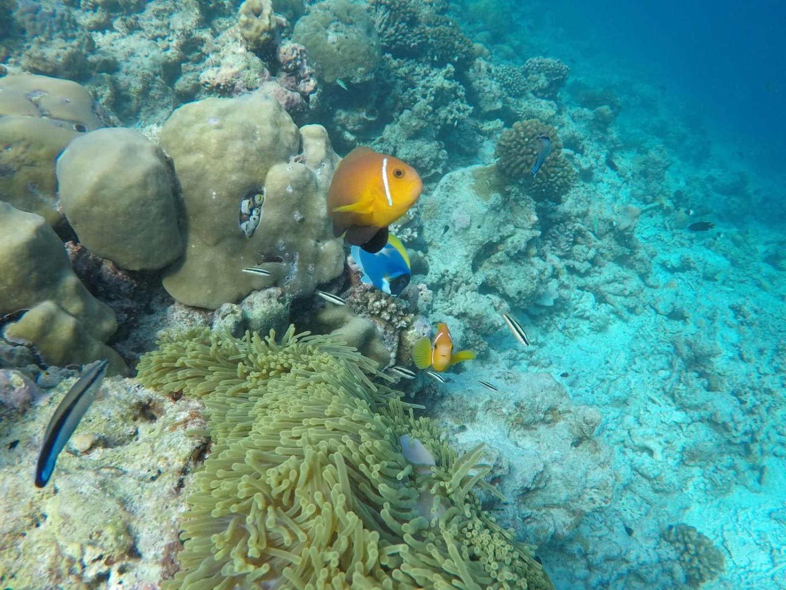Moodhumaa Inn Guraidhoo  Εξωτερικό φωτογραφία