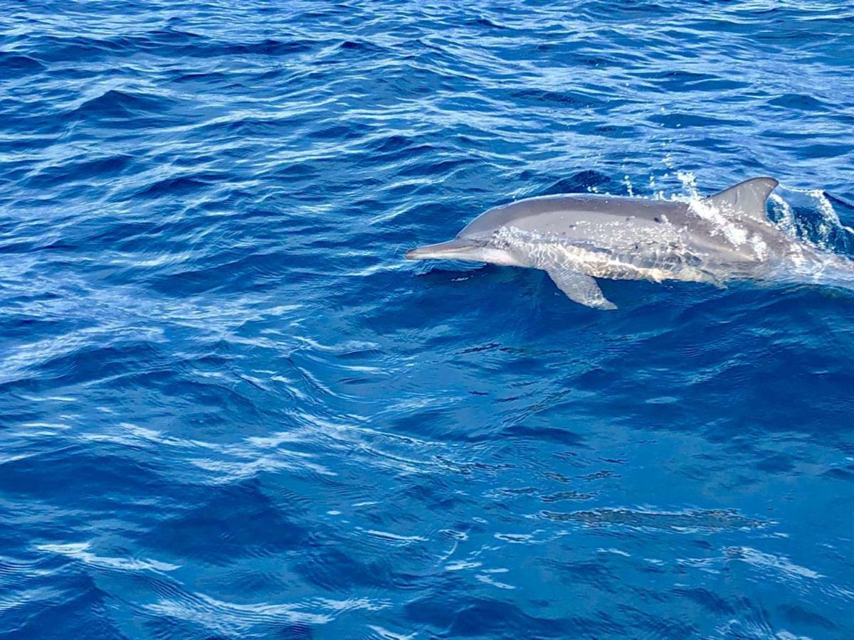Moodhumaa Inn Guraidhoo  Εξωτερικό φωτογραφία