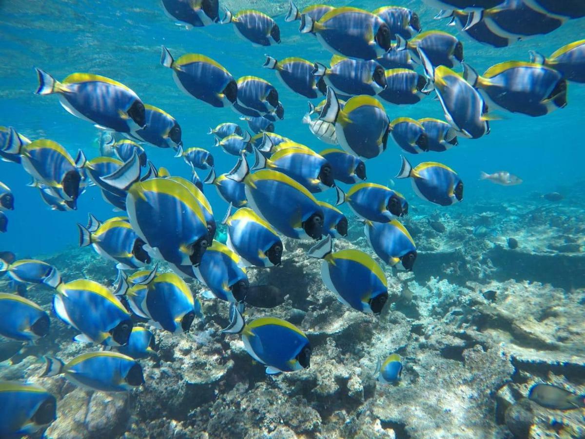 Moodhumaa Inn Guraidhoo  Εξωτερικό φωτογραφία