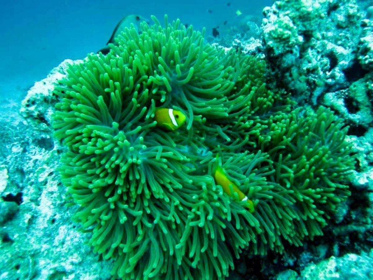 Moodhumaa Inn Guraidhoo  Εξωτερικό φωτογραφία